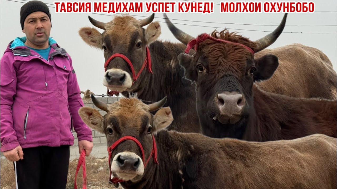 МОЛҲОИ ОХУН-БОБО УСПЕТ КУНЕД ! 2 февраля 2026 г.