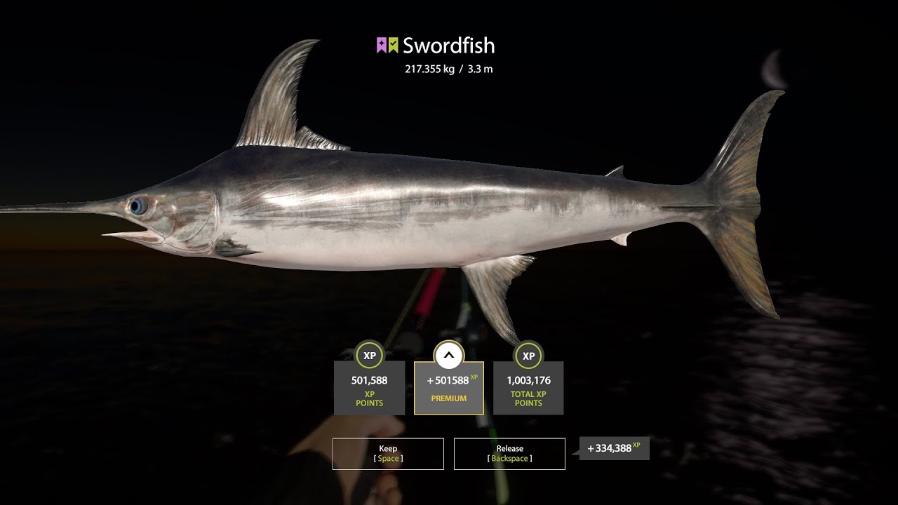 HUGE FLYING SWORDFISH 217.335 Trolling Norwegian Sea Russian fishing4 RF4