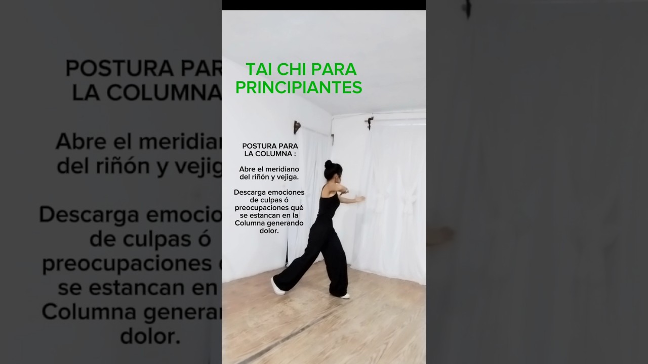 Tai Chi Para Principiantes Ejercicios Suabes Trasforma tu energía 