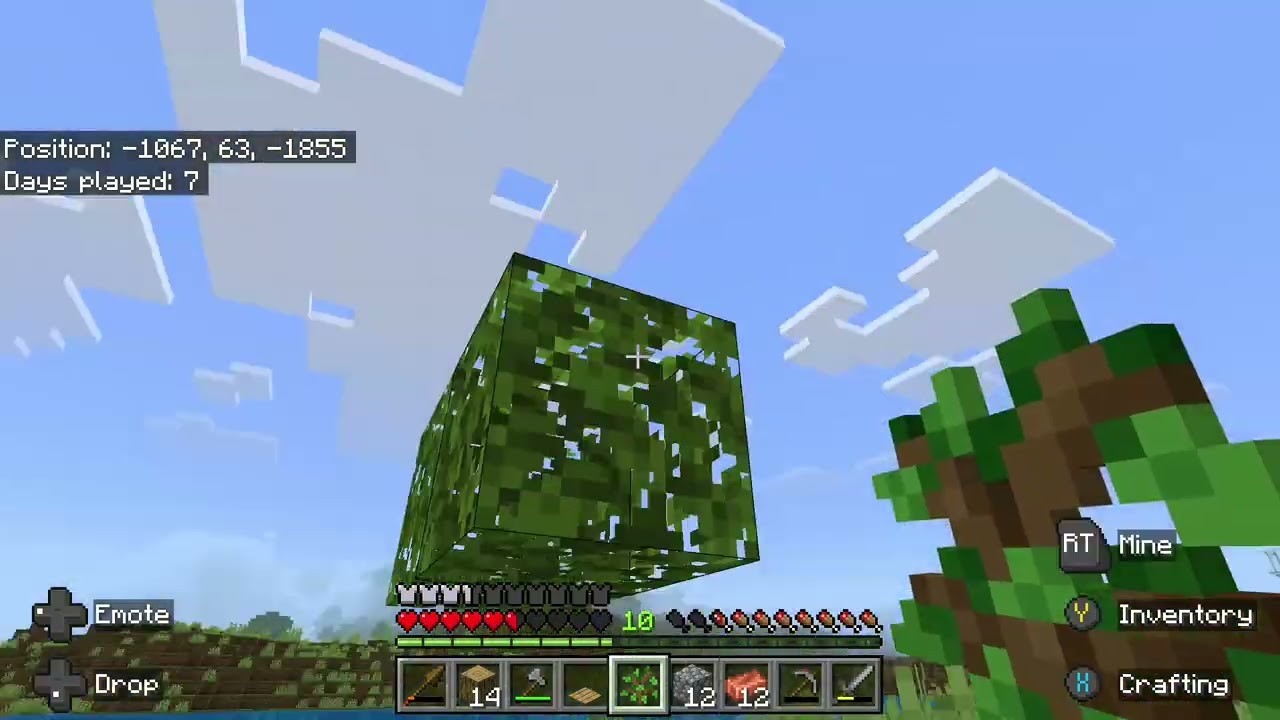 Minecrafting new world 3