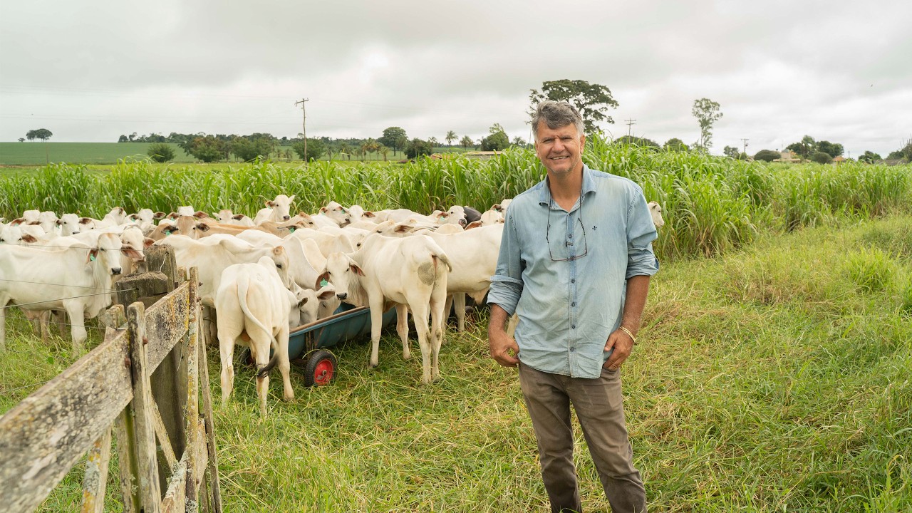 Como Controlar Seu Gado e Parar de Perder Dinheiro na Pecuária