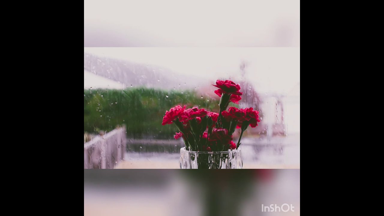 Müzik موسيقى Music