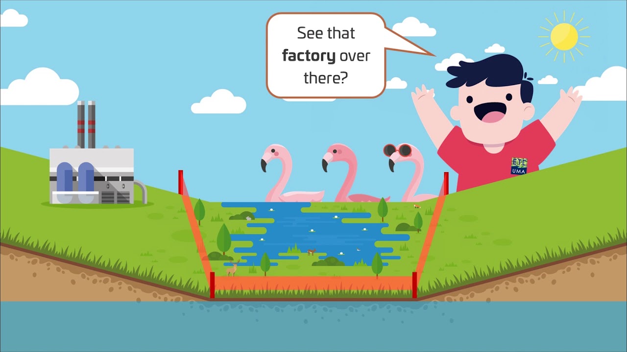 SWOS Project - Delimitation of Wetland Ecosystems