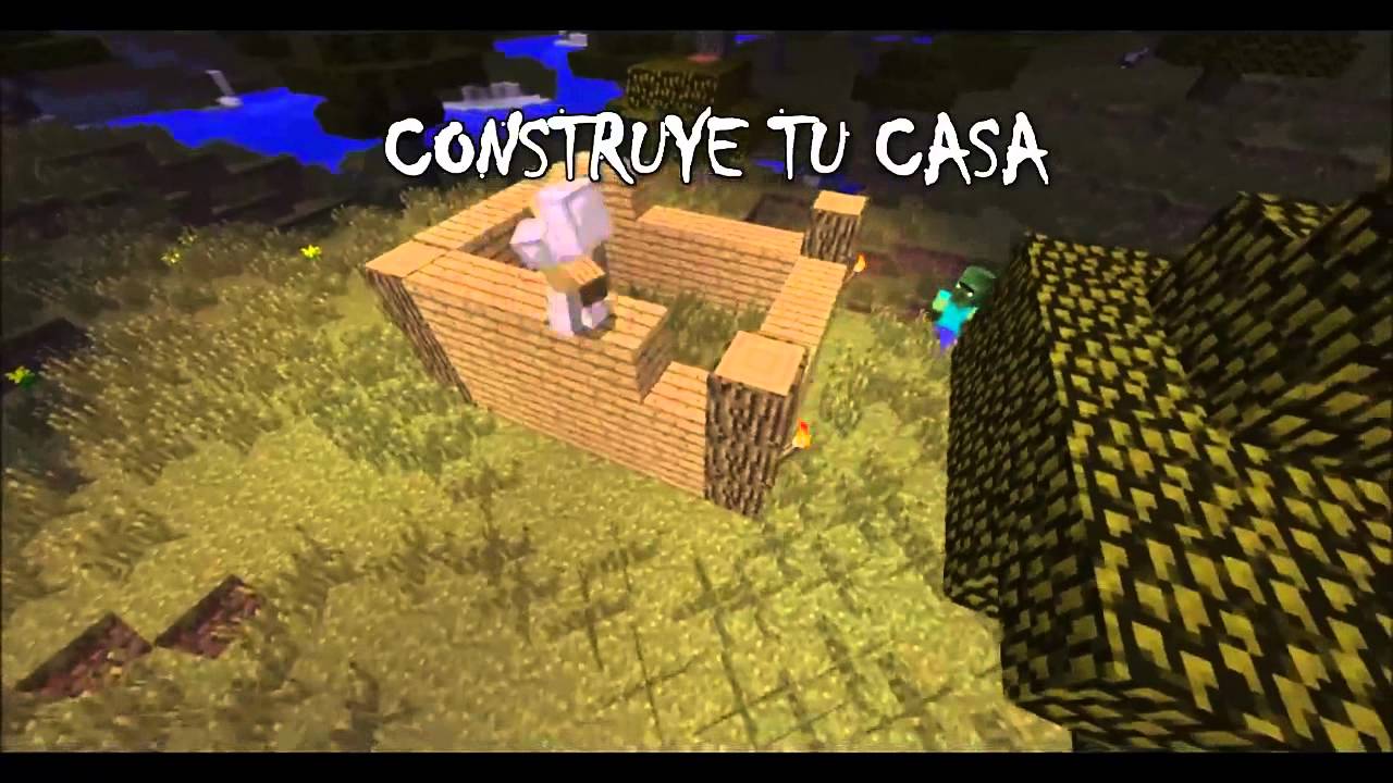 MINEHARD 2014 ip: MC.MINEHARD.COM.AR