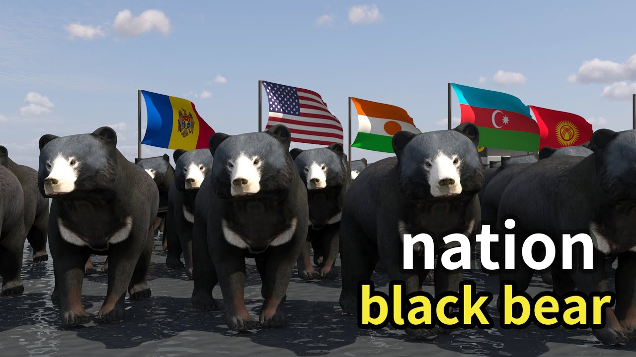 Global black bear population comparison
