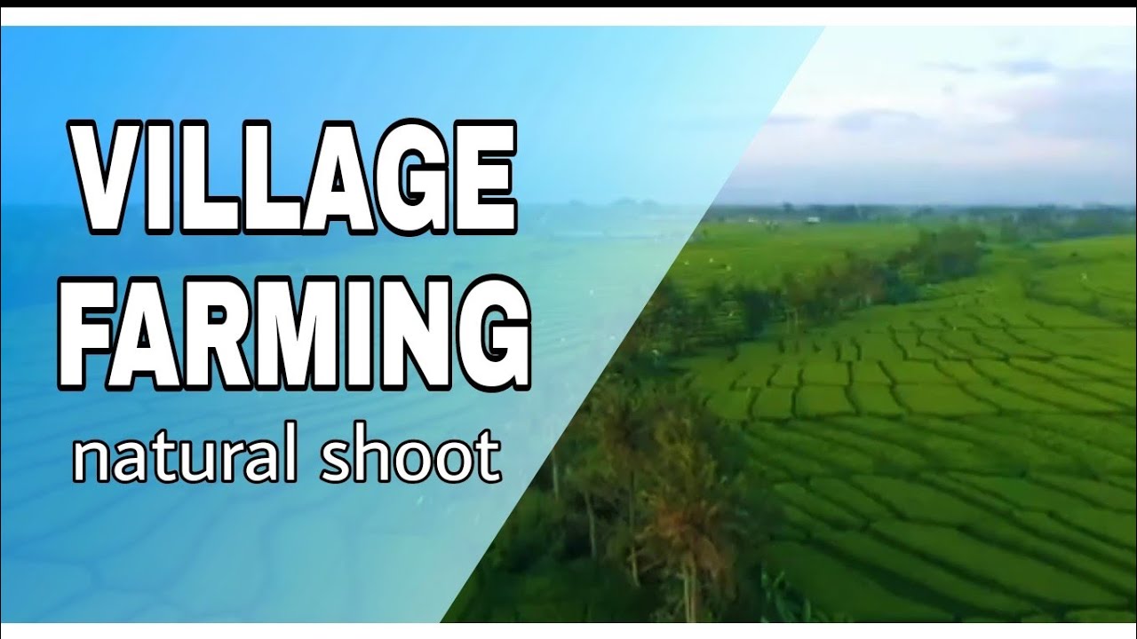 FARMING ❤️||Status||village farming whatsapp status||creativity..