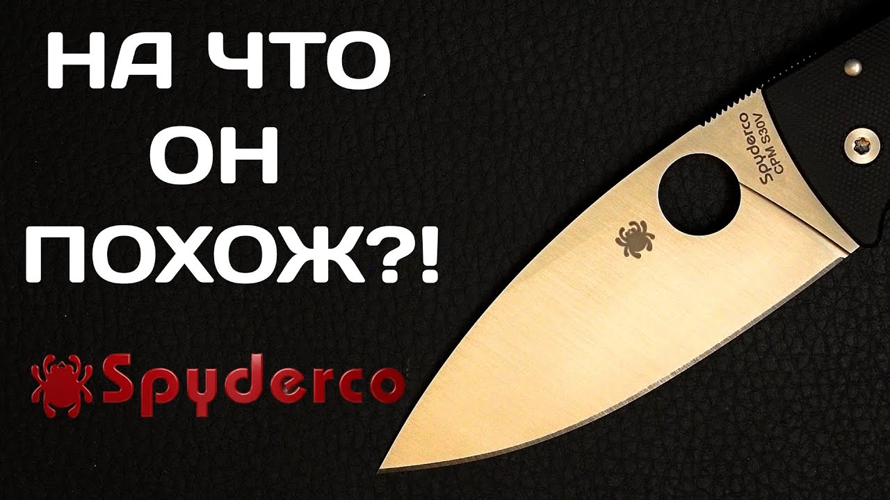 Новый нож на основе Старого - Spyderco Bodacious