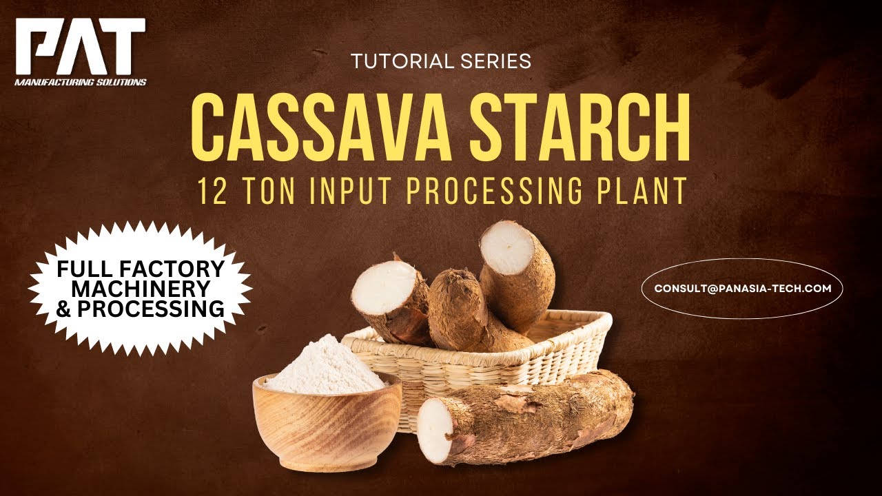 From Cassava to Flour: A Look Inside Our 12 Ton Per Hour Processing Line