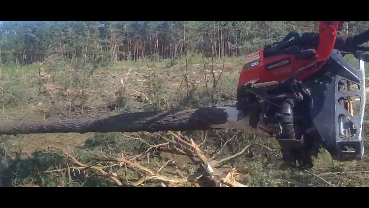 Końcówka zrębu i leśne pogaduchy – daily vlog z harvestera 🌲