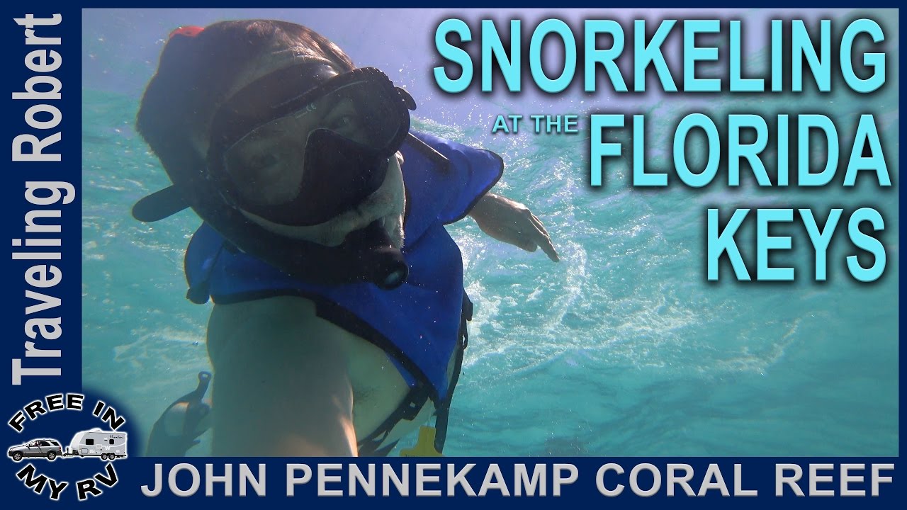 Snorkeling at the Florida Keys, Key Largo, Florida | Traveling Robert