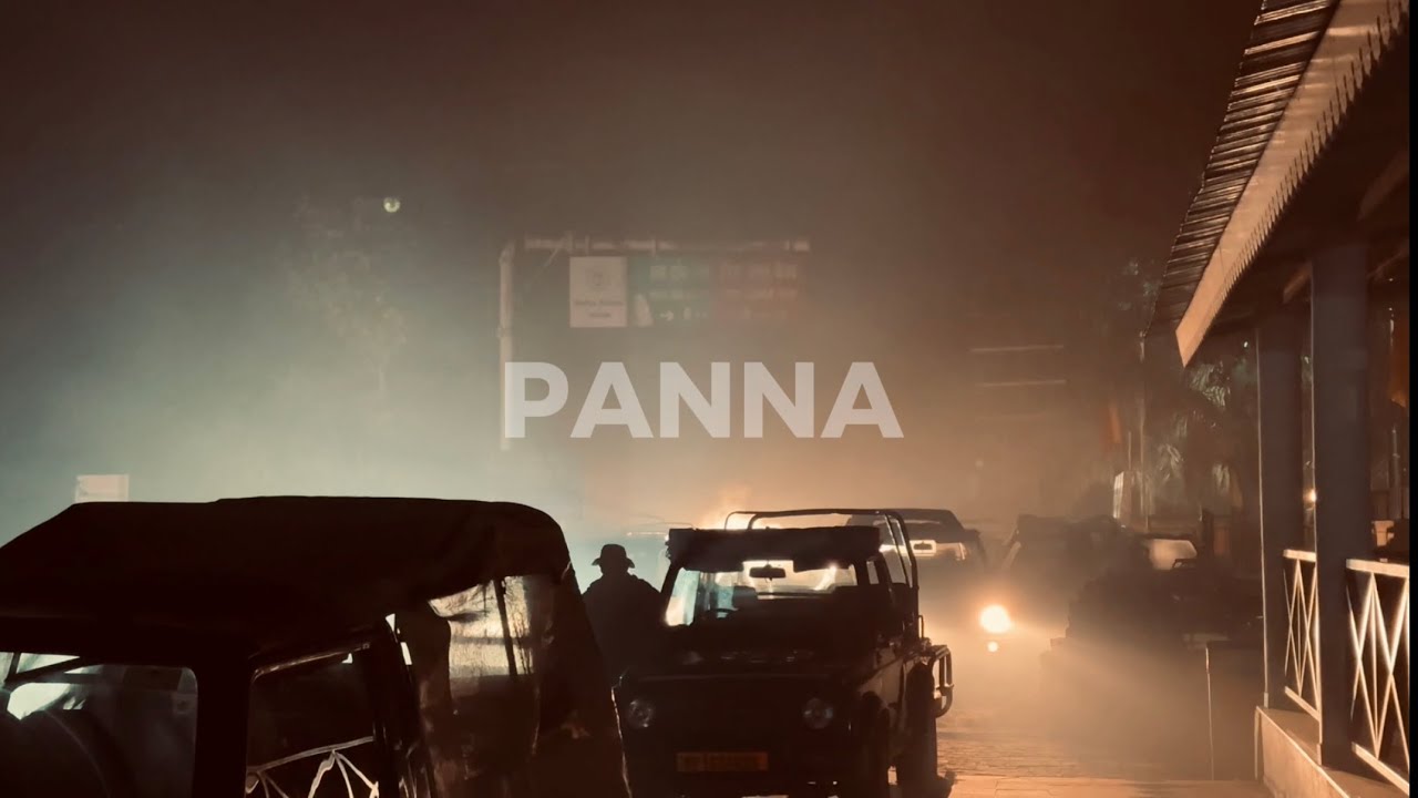 A Morning Safari in Panna 🐅 | Tigers, Trails & Tranquility