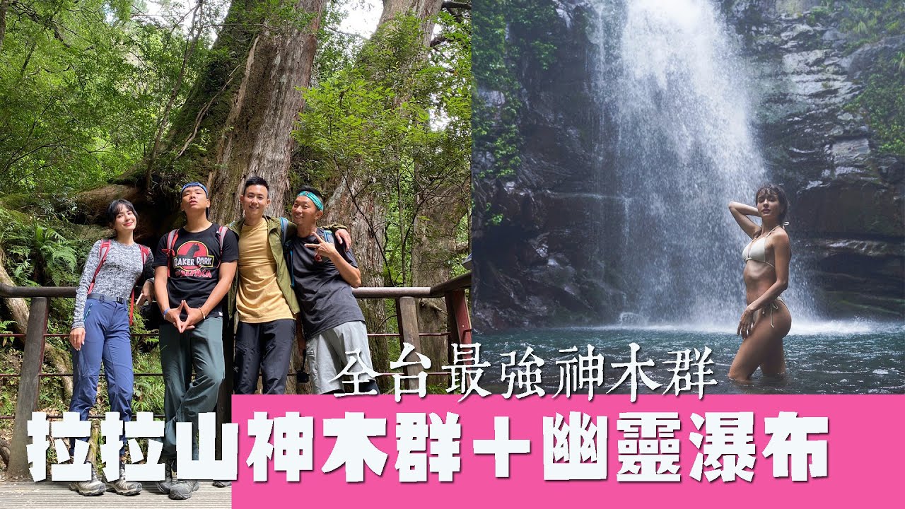 【桃園】全台最強神木群拉拉山＋幽靈瀑布
