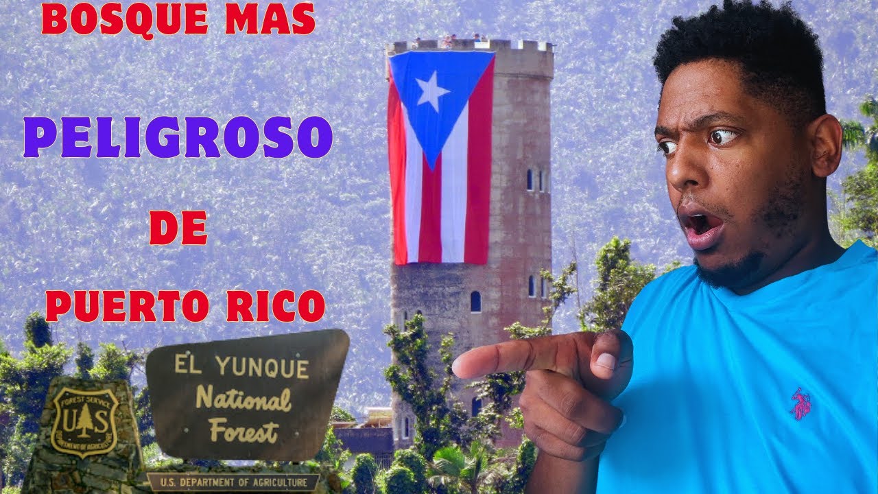 Yunque Bosque MAS 