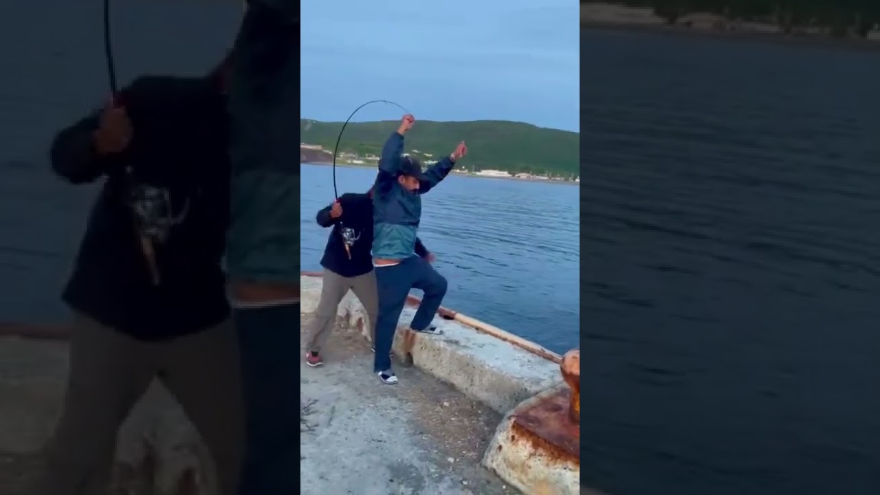 1,2,3,4,5,6&hellip;&hellip;.sabiki fishing rig is magic