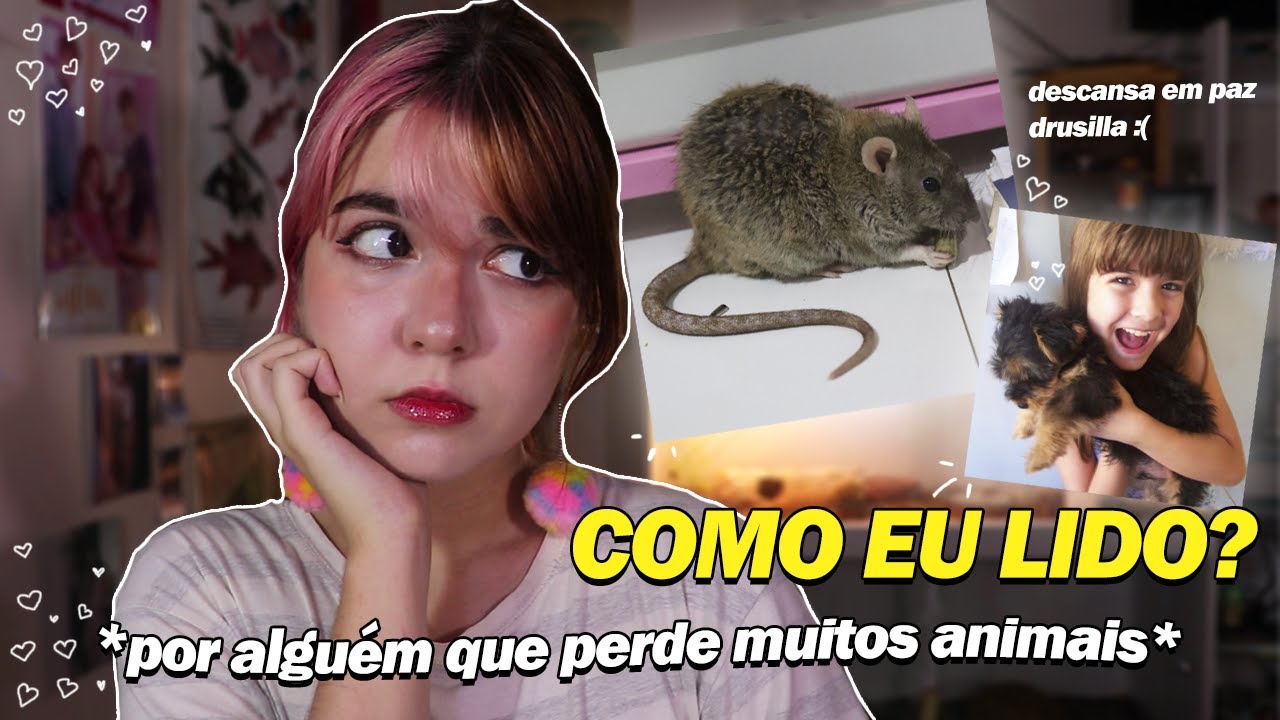 COMO LIDAR COM A PERDA DE ANIMAIS DE ESTIMAÇÃO??