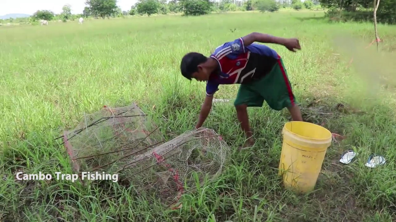 Awesome Net Ler Fishing Technique By Cambo Trap Fishing