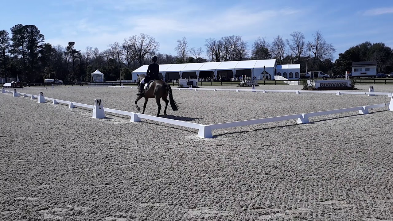 Aiken Eventing Showcase(1)