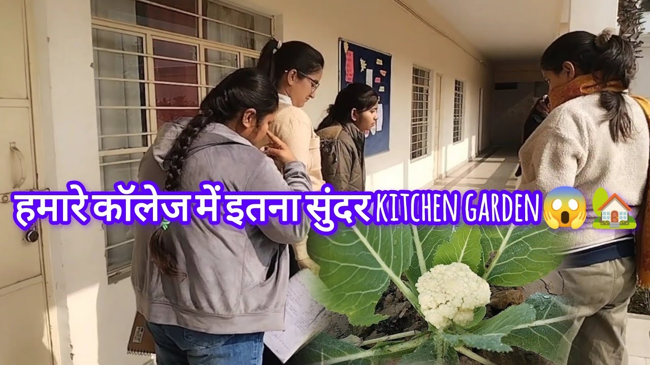 हमारे कॉलेज में इतना सुंदर kitchen garden 🏡😱 सब्जियां ही सब्जियां😻🥳@nayrarawatnehu1761 