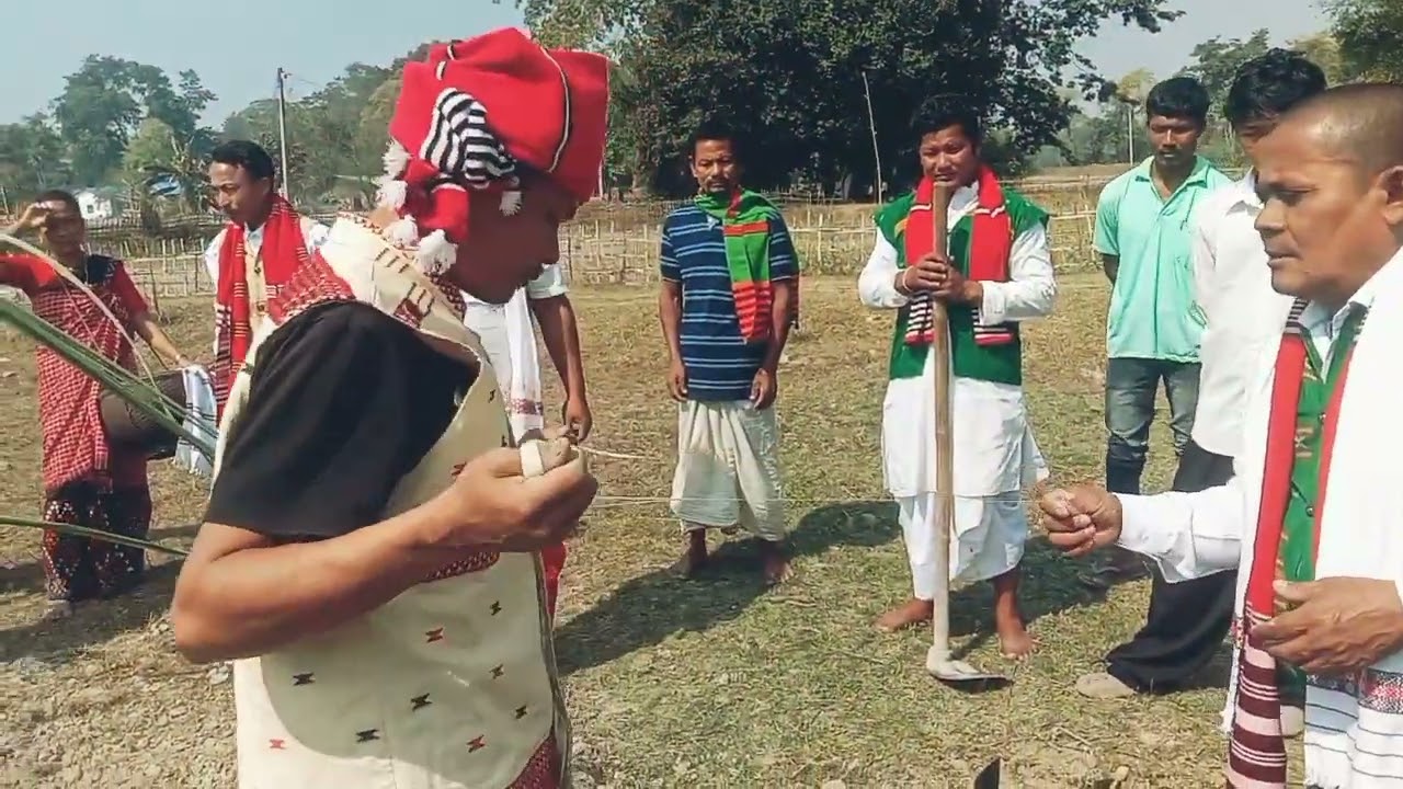 Ali
