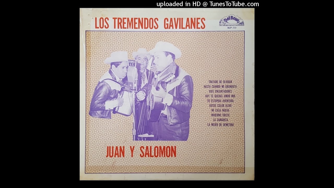 Los Tremendos Gavilanes - Tratare De Olvidar (Disco Completo)