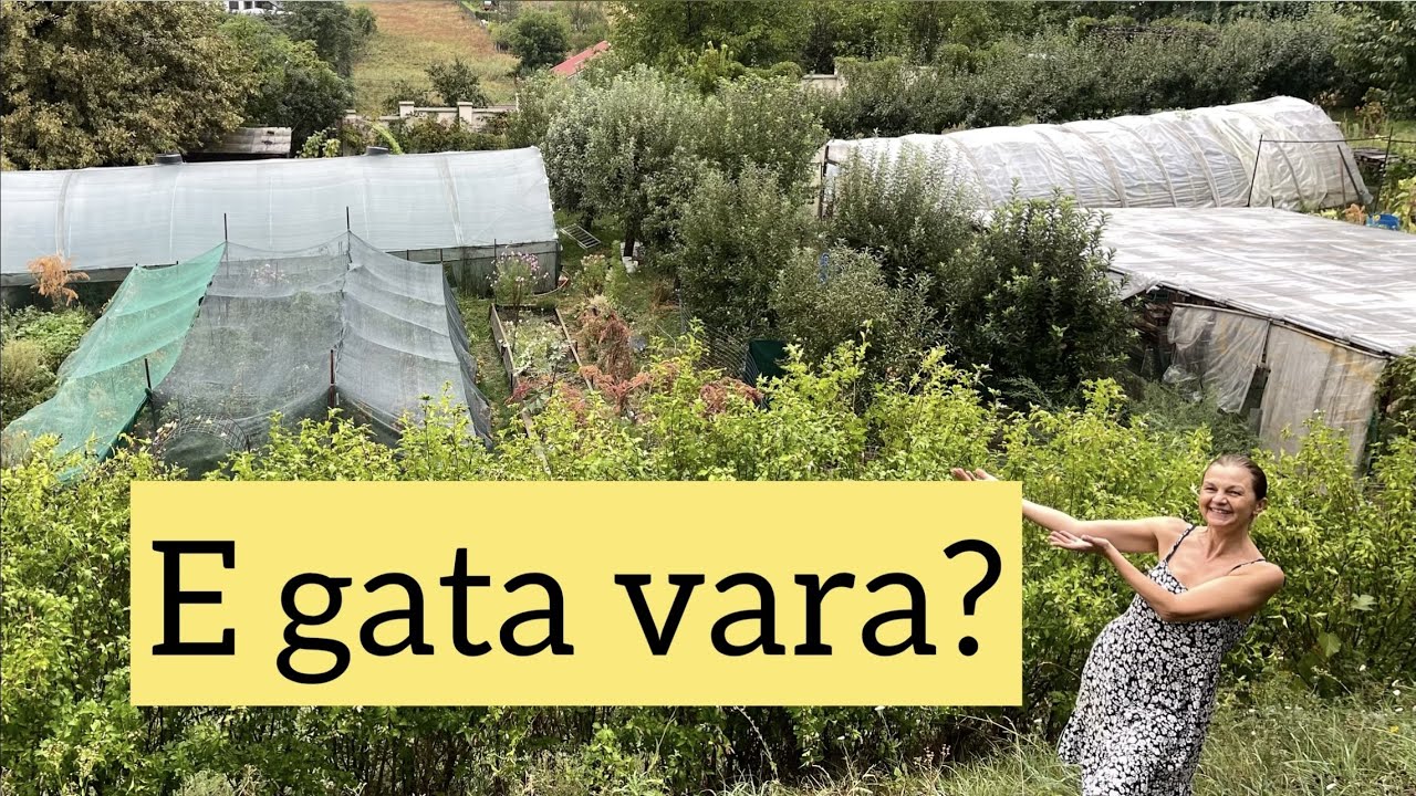 Turul gradinii. Ce e de facut la sfarsitul verii