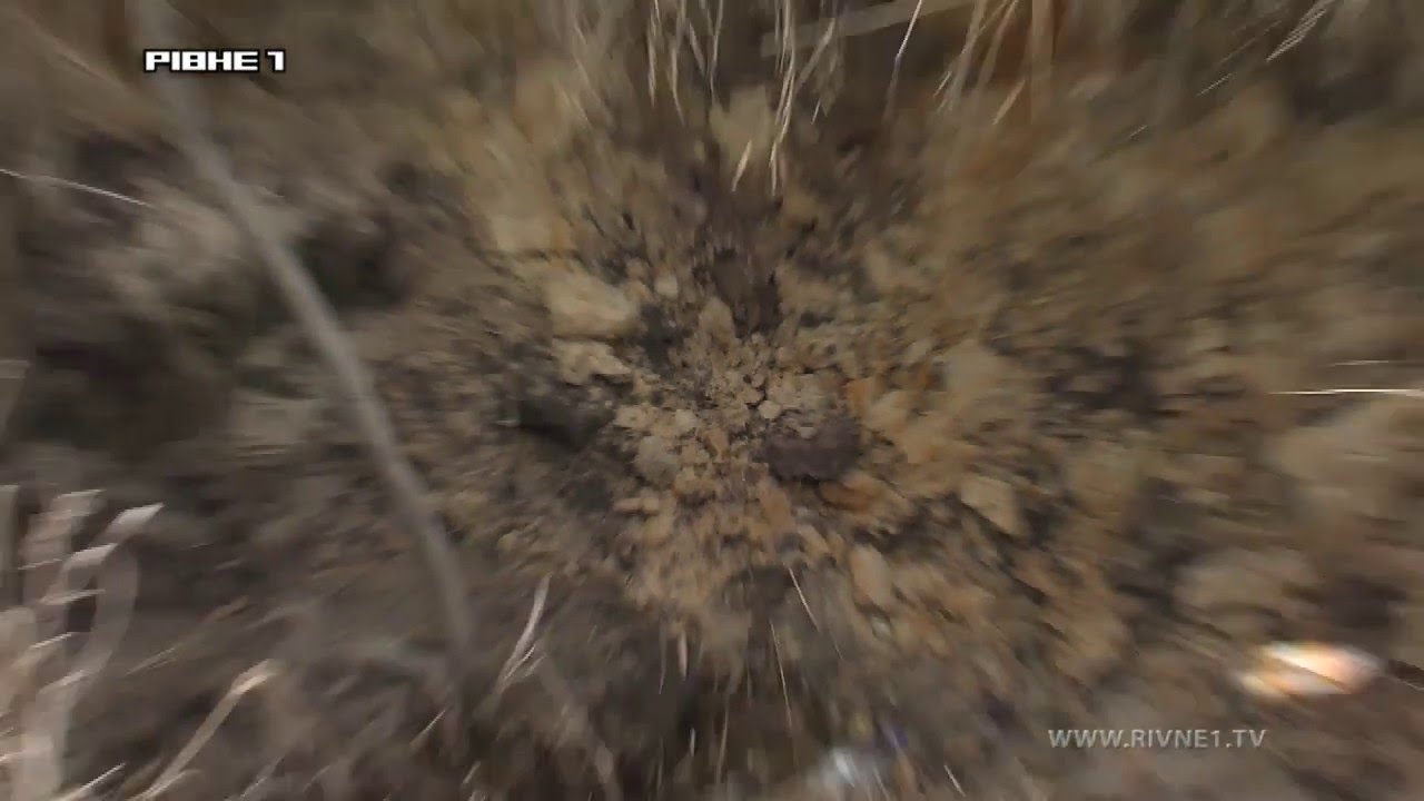 На Рівненщини 
