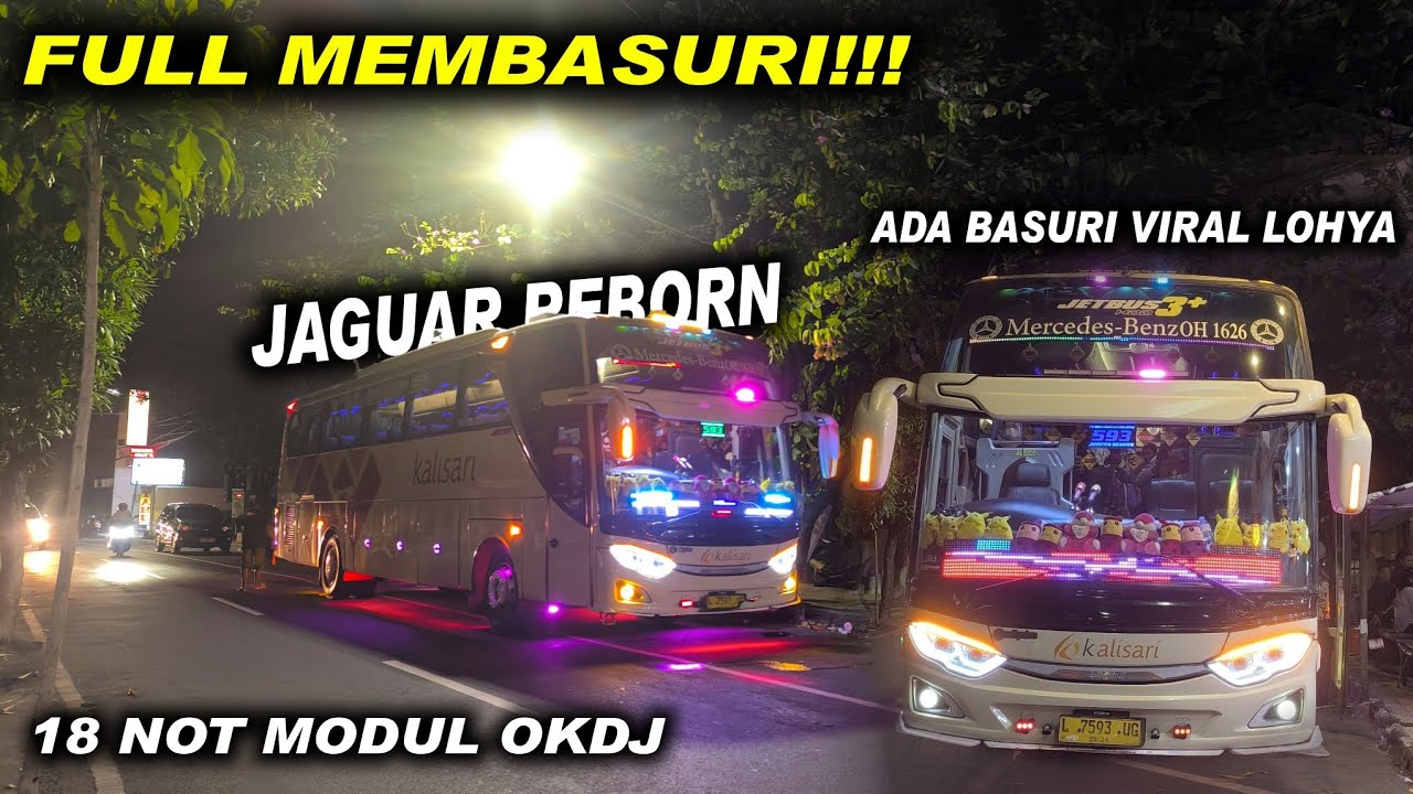 FULL MEMBASURI!!,MALMING DITEMANI JAGUAR REBORN 🔥🔥🔥
