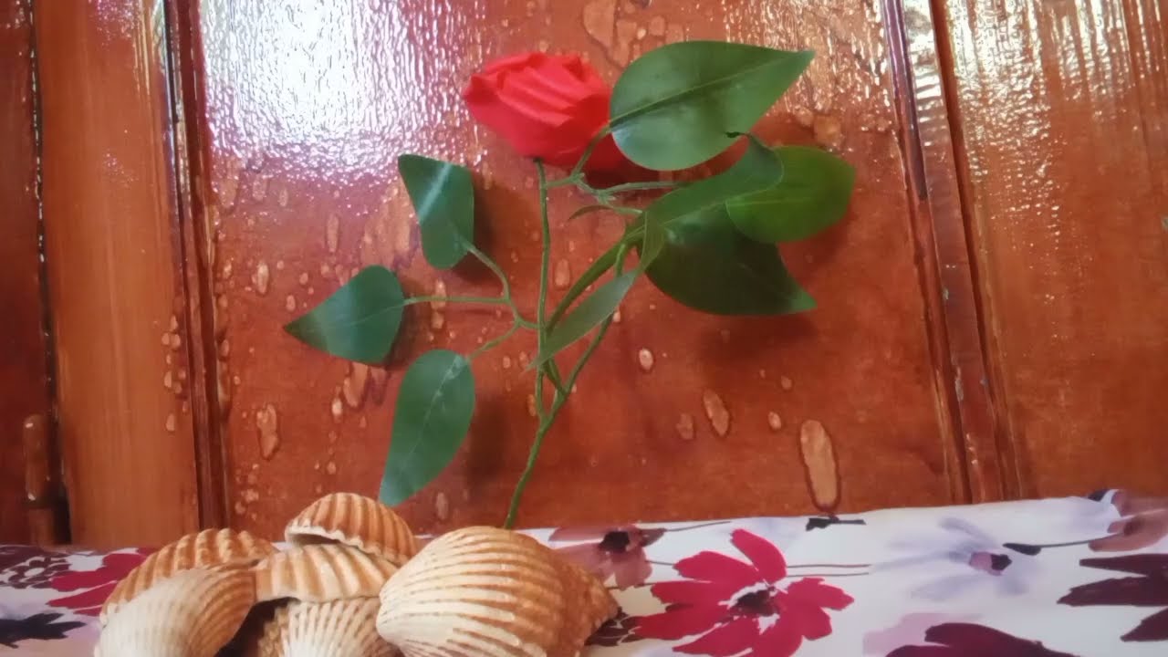 هد القصة بزاف ضروري تسمعها اي بنت مقبلة على زواج او ام  سمعو شنو وقع الها نهار الدخلة