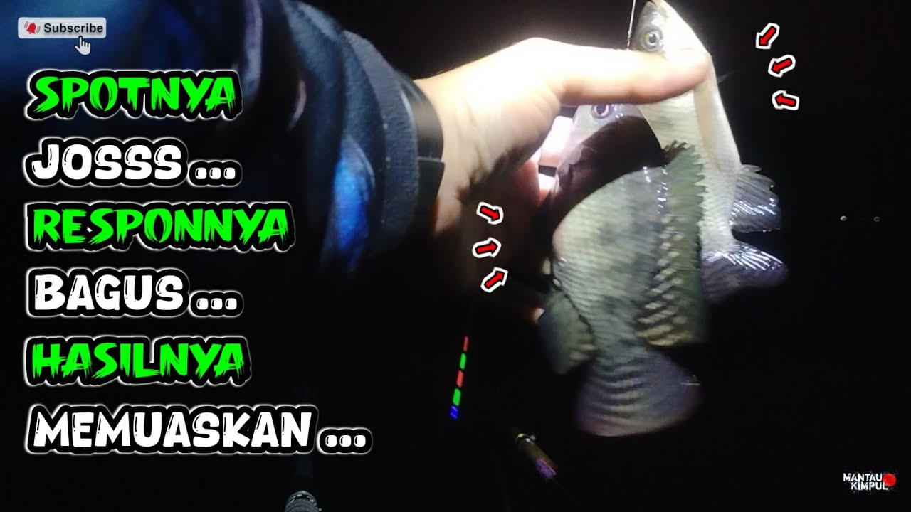 The Latest Fishing Spot in the Dalu Ngantang Tribe | Babakan Waru Ngantang WSN Spot