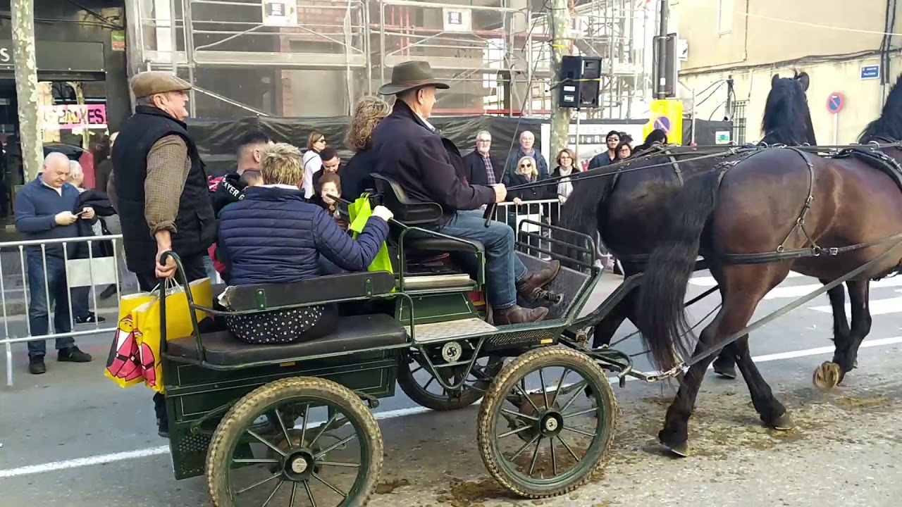 Santa Perpetua (cap 14): tres tombs 2020