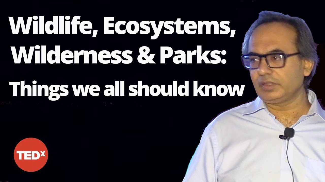 Wildlife, Ecosystems, Wilderness and Parks | Nalin Savara | TEDxJIMS Vasant Kunj