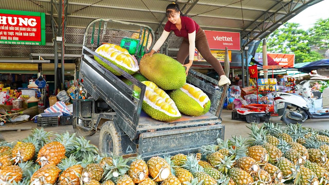 Use Truck To Harvesting Tons Of Pineapple & Jackfruit Goes To Market Sell | New Free Bushcraft