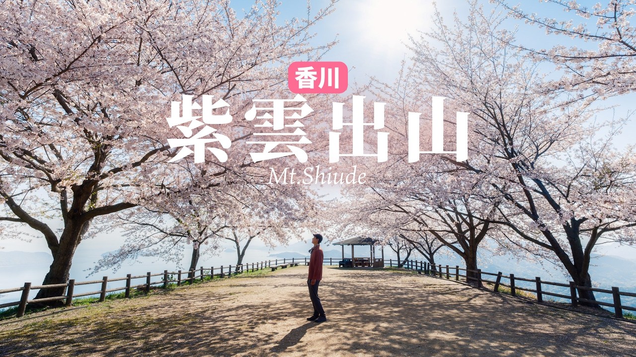 【桜&times;登山】海と桜の絶景 香川県の本気を見に紫雲出山へ