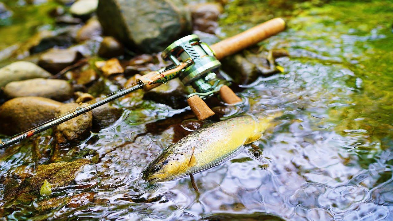 MOUNTAIN WILD TROUT FISHING - ROMANIA - THE LAST VIRGIN FOREST OF EUROPE