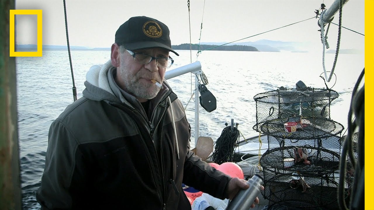 Packing the Shrimp Pots | Port Protection