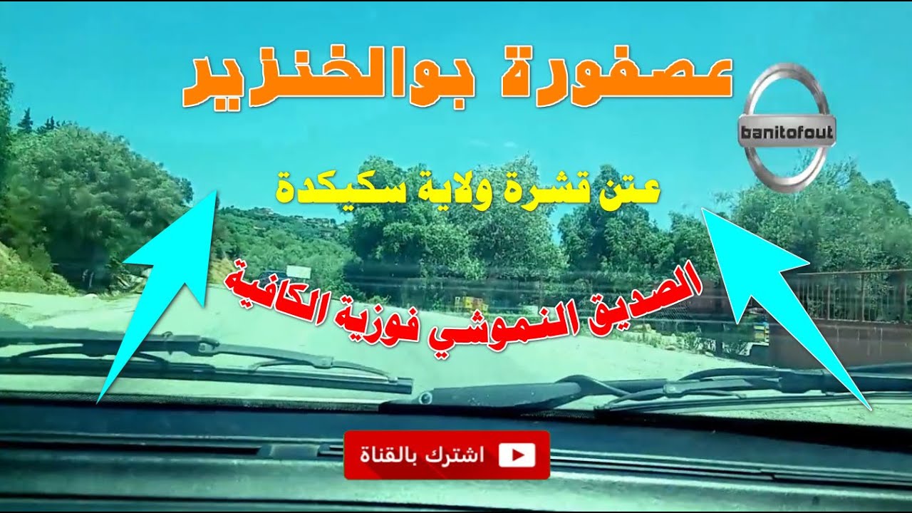 الصديق النموشي فوزية الكافية عصفورة بوالخنزير عين قشرة ولاية سكيكدة