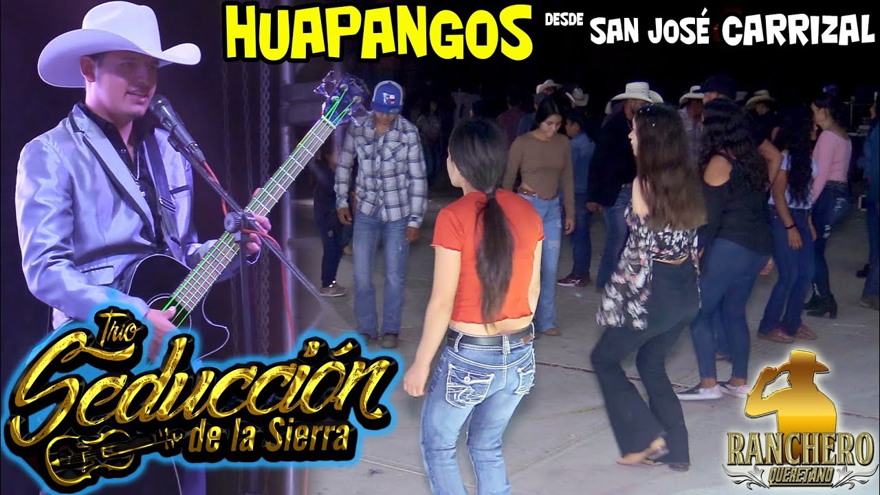 Trio Seducción De La Sierra en San José Carrizal #huapangos