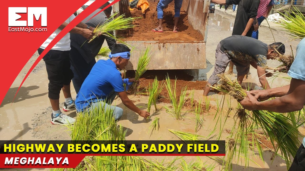 NH-6 in Meghalaya’s East Jaintia Hills turns into a paddy field: Why?