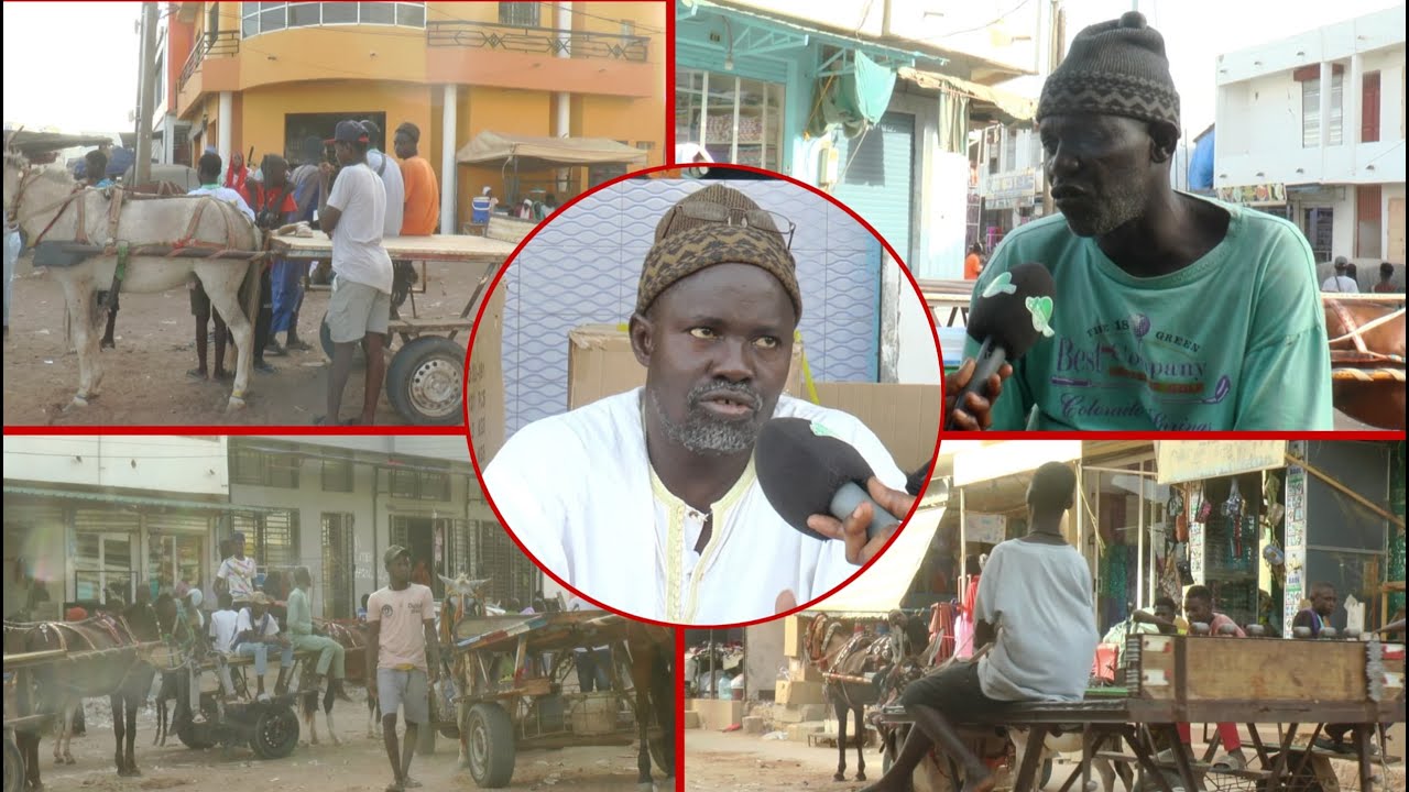 Reportages sur le transport charretier dans la ville de TOUBA
