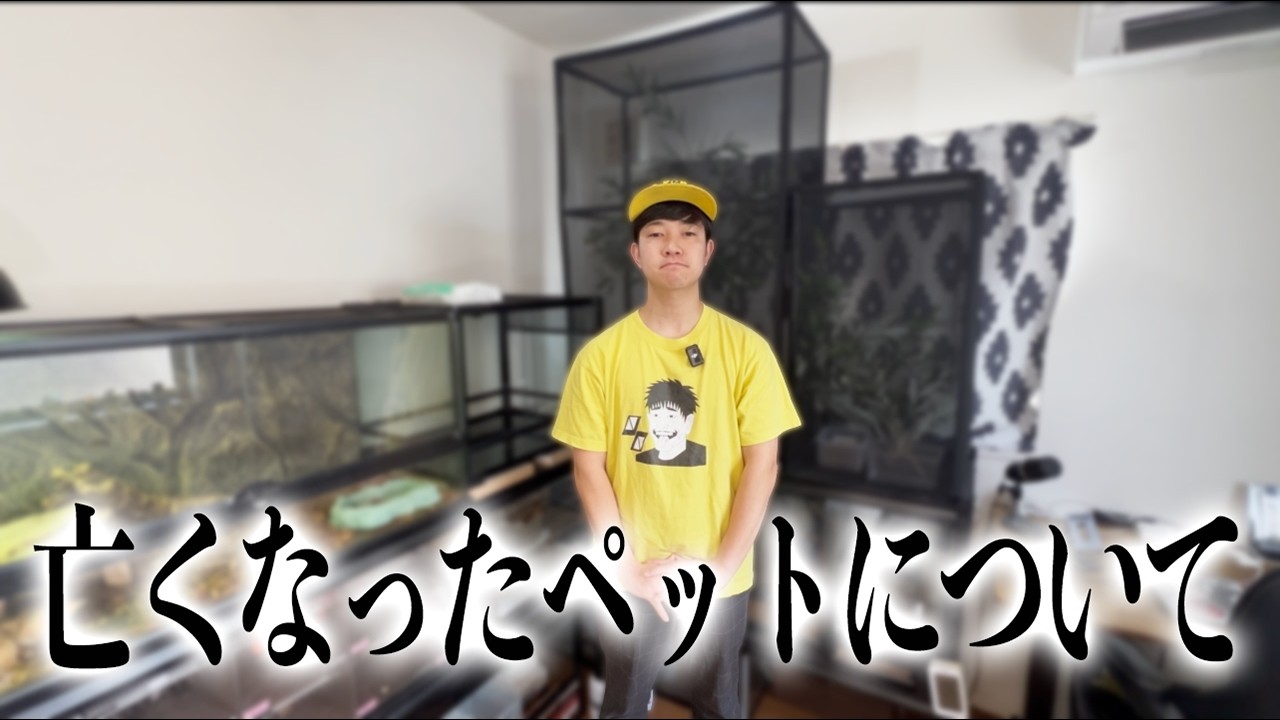 【報告】ペットが亡くなってしまいました。