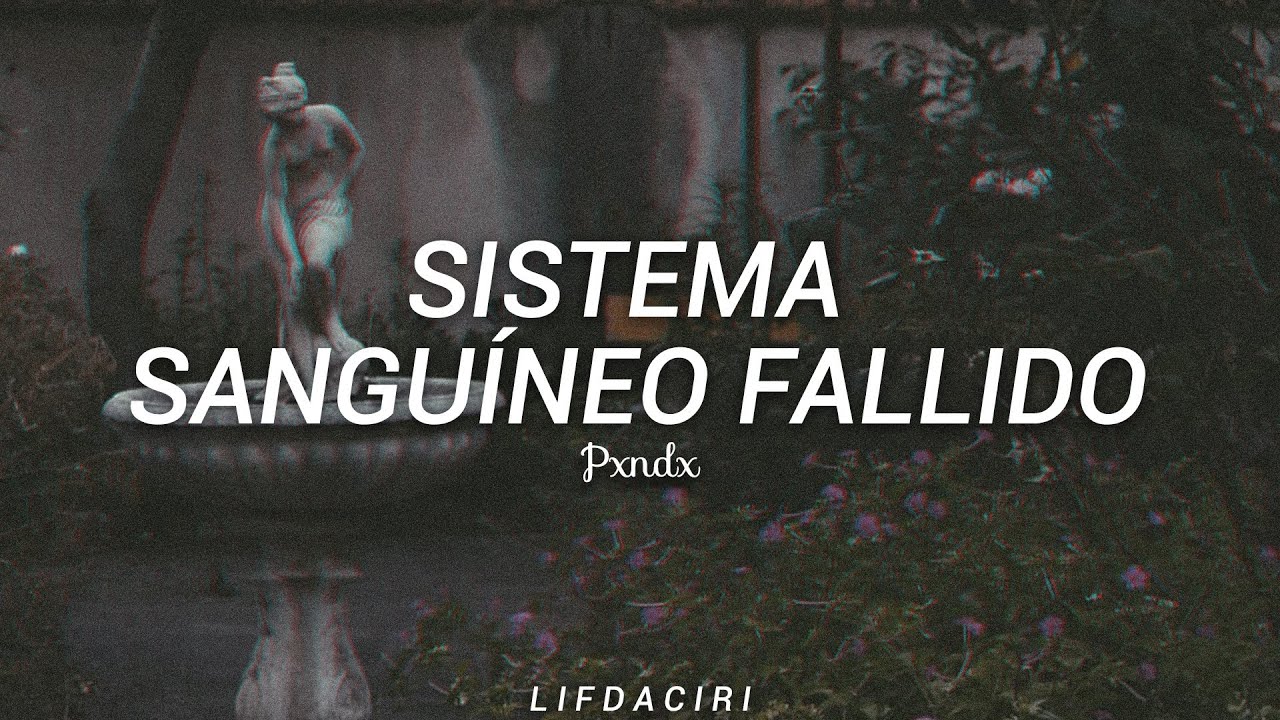 PXNDX-Sistema Sanguíneo Fallido//Letra//