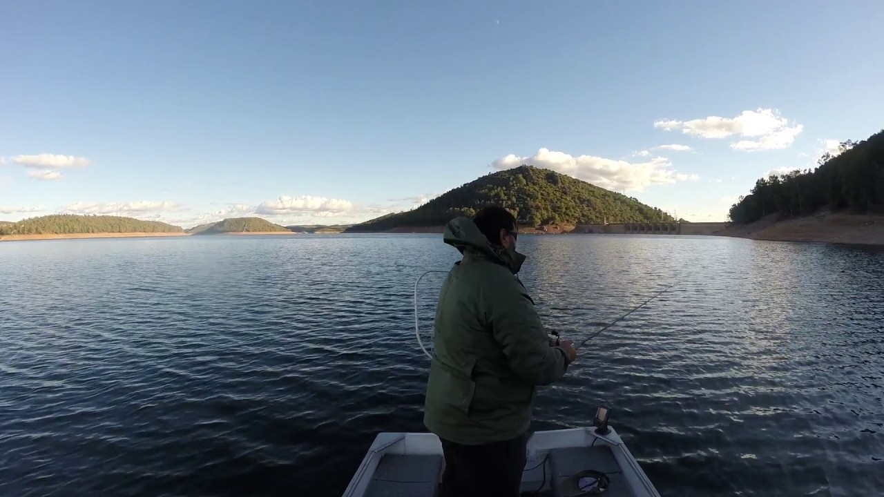 CIJARA NOVIEMBRE 2016