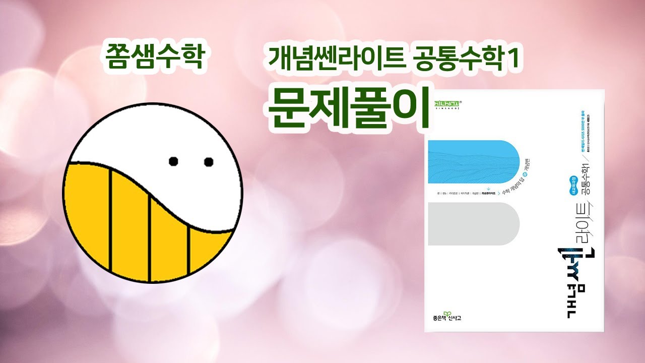 [개념쎈라이트 공통수학1] 161쪽 유제4 (2)