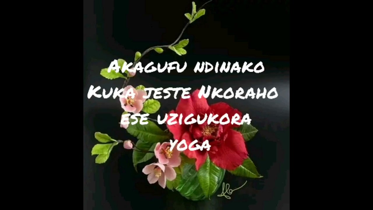 AKAGUFU-_-BIFORE_(LAST_KILLER)_[OFFICIAL MUSIC VIDEO]