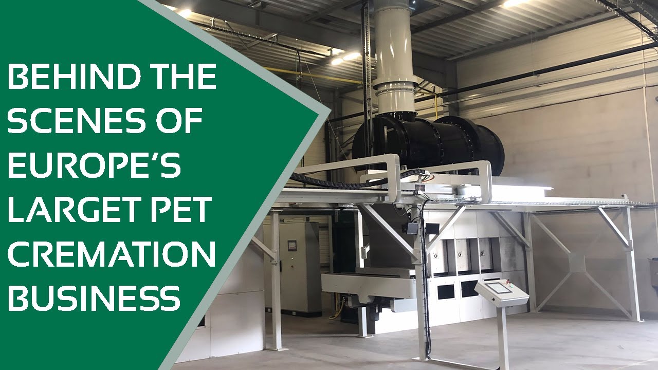 How We Helped Revolutionize the Pet Cremation Industry