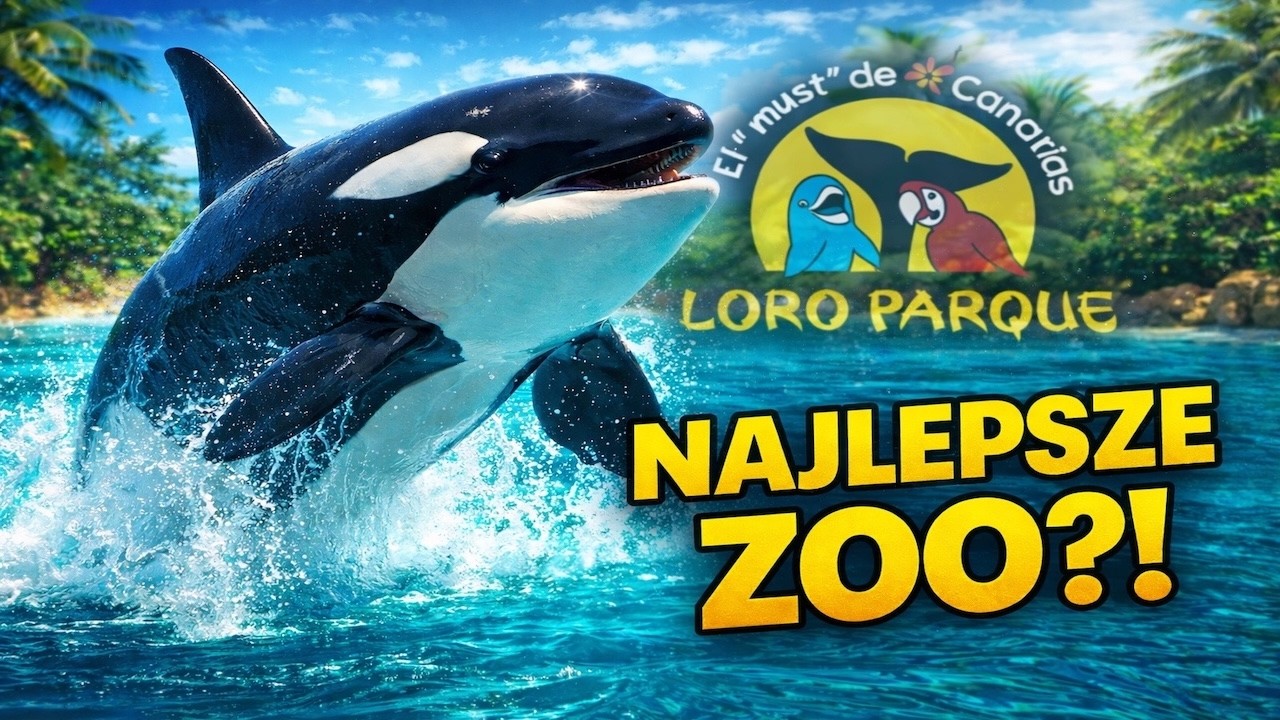 NAJLEPSZE ZOO NA ŚWIECIE? 🐬 | Loro Park Teneryfa | Język Migowy