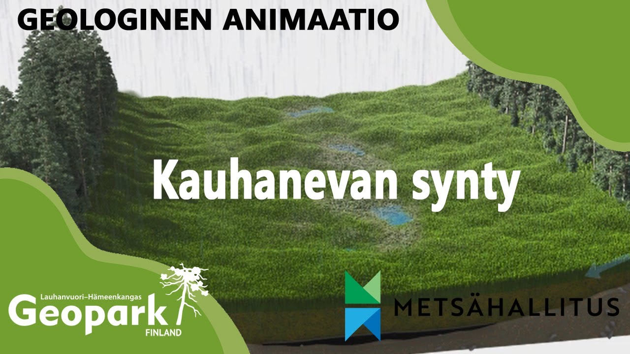 6. Kauhanevan synty