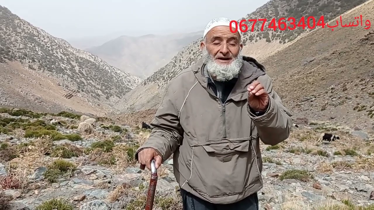نصيحتي لك إنشاء الله