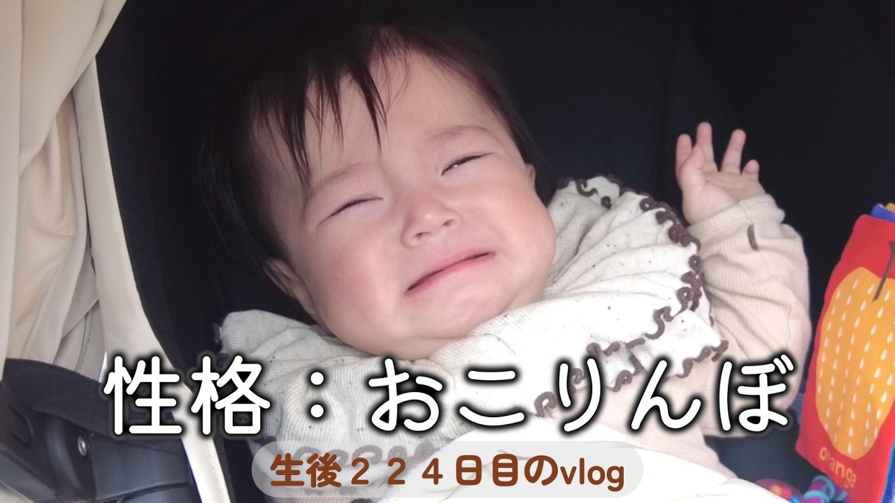 生後224日目 探検家の血が騒ぐ｜里帰りなし,1LDK,完母育児,生後7ヶ月,vlog