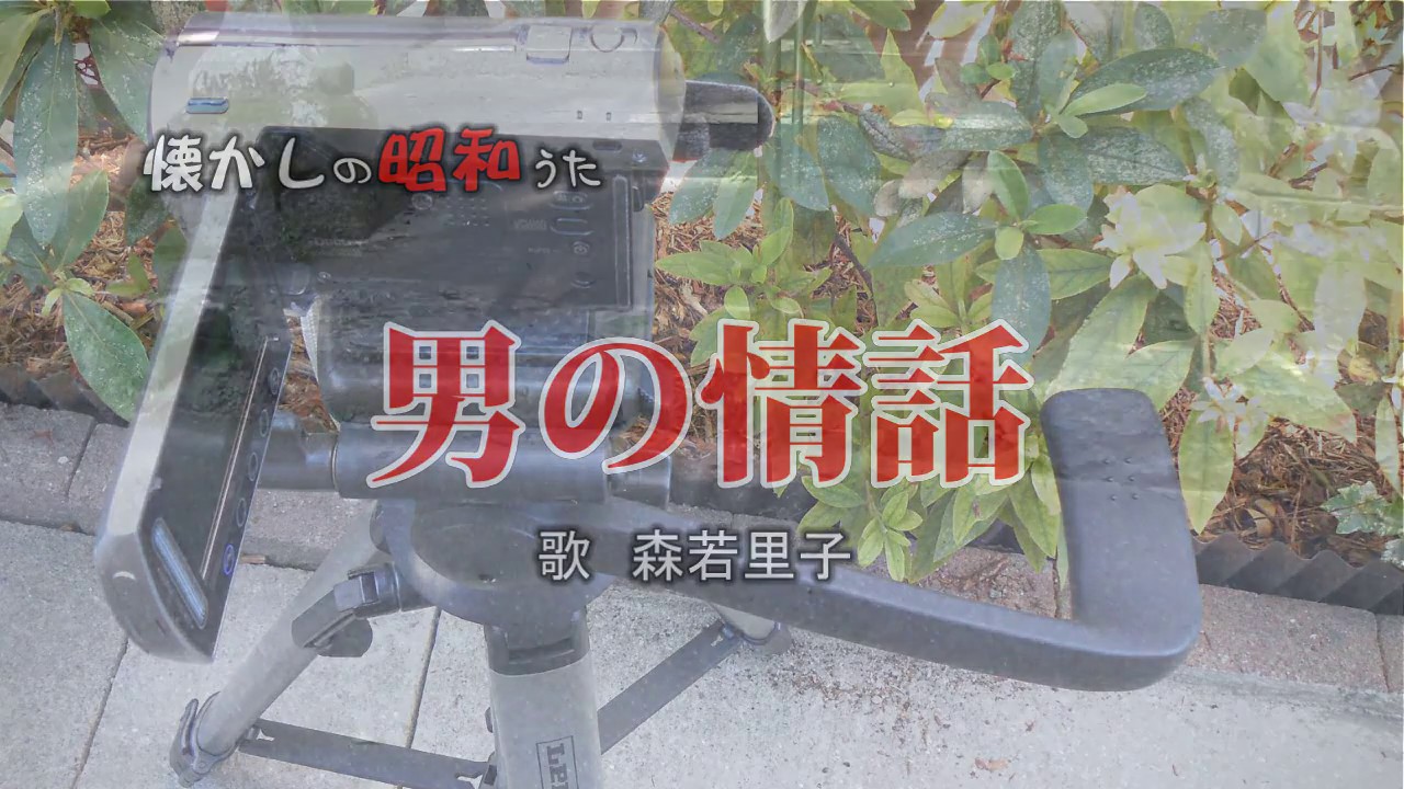 男の情話　森若里子　歌酒場7－1